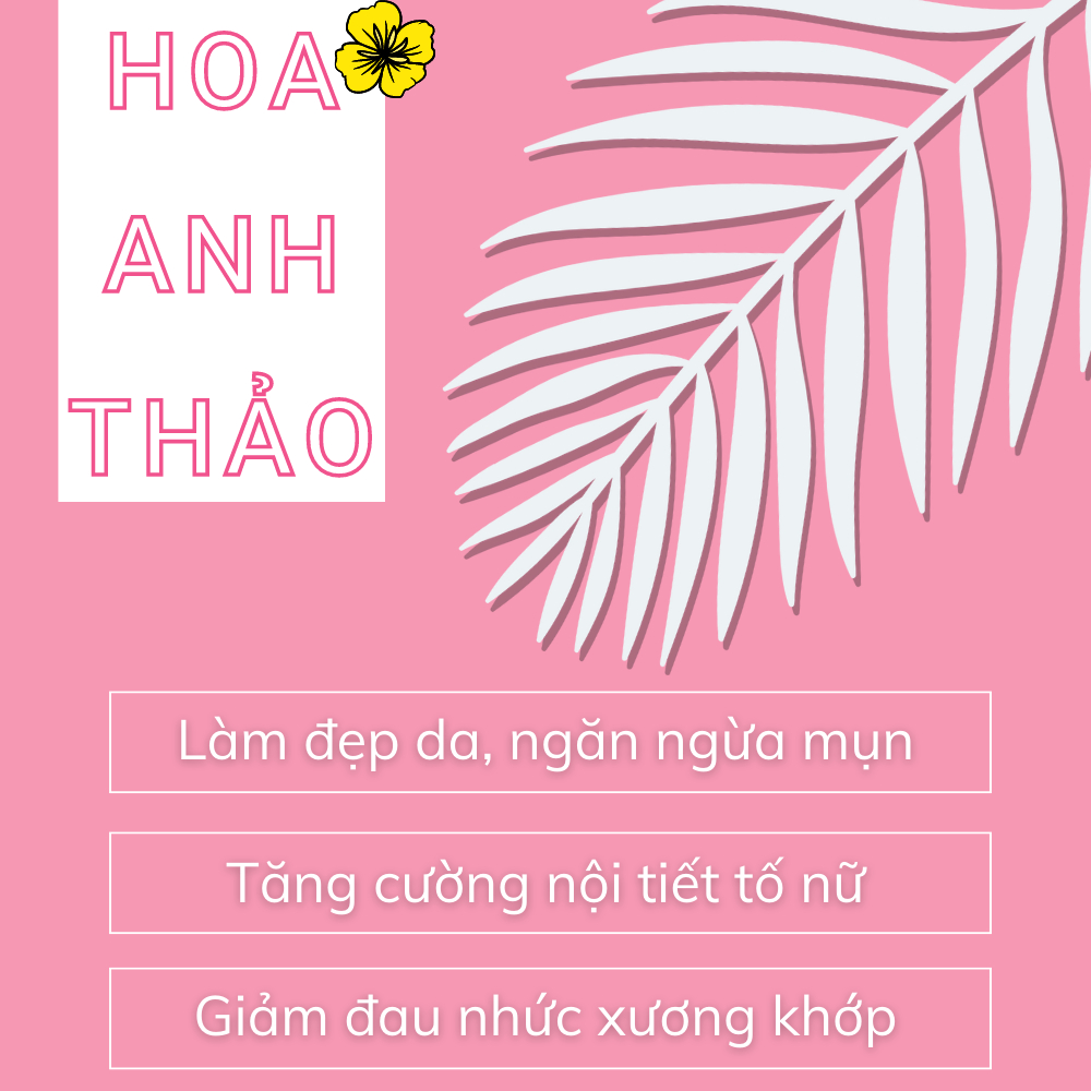 Viên uống tinh dầu hoa anh thảo VTM Evening Primrose Oil, hỗ trợ cân bằng nội tiết tố, làm đẹp da, tóc, móng – 45 viên