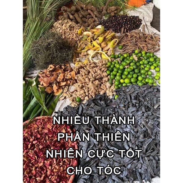 Dầu xả dầu dừa Coigarden 500ml phục hồi tóc hử tổn chẻ ngọn – Dầu xả mượt tóc giảm xơ rối