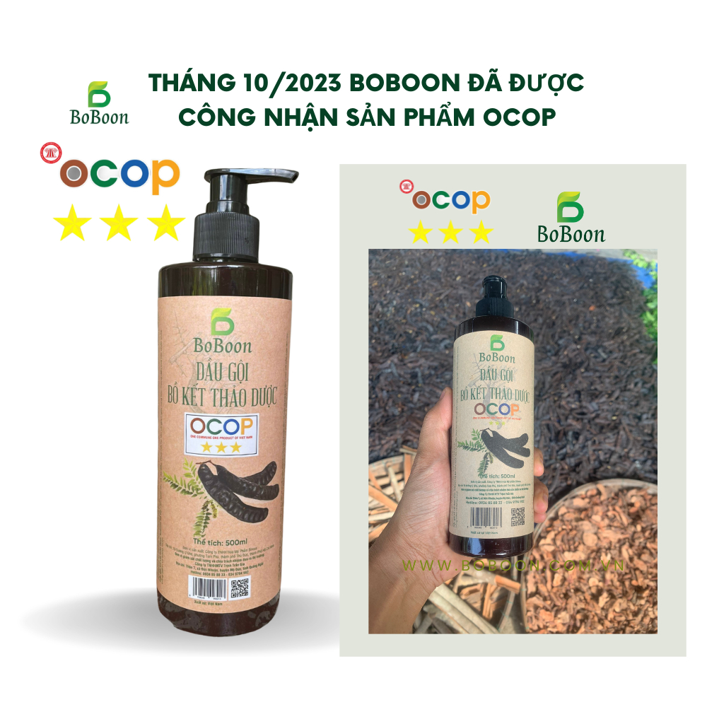 Dầu gội bồ kết cô đặc thảo dược sạch gàu, nấm, ngứa, chống, ngăn rụng tóc, mọc tóc BoBoon- organic