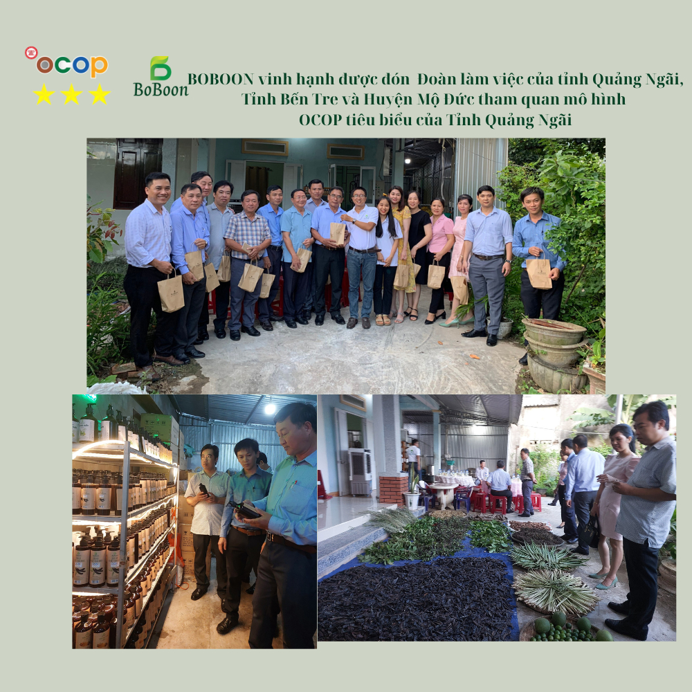 Dầu gội bồ kết cô đặc thảo dược sạch gàu, nấm, ngứa, chống, ngăn rụng tóc, mọc tóc BoBoon- organic