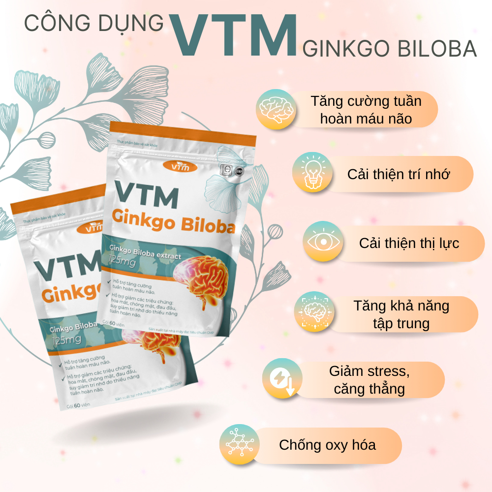 Viên uống bổ não VTM Ginkgo Biloba cải thiện trí nhớ tăng cường tư duy – túi 60 viên