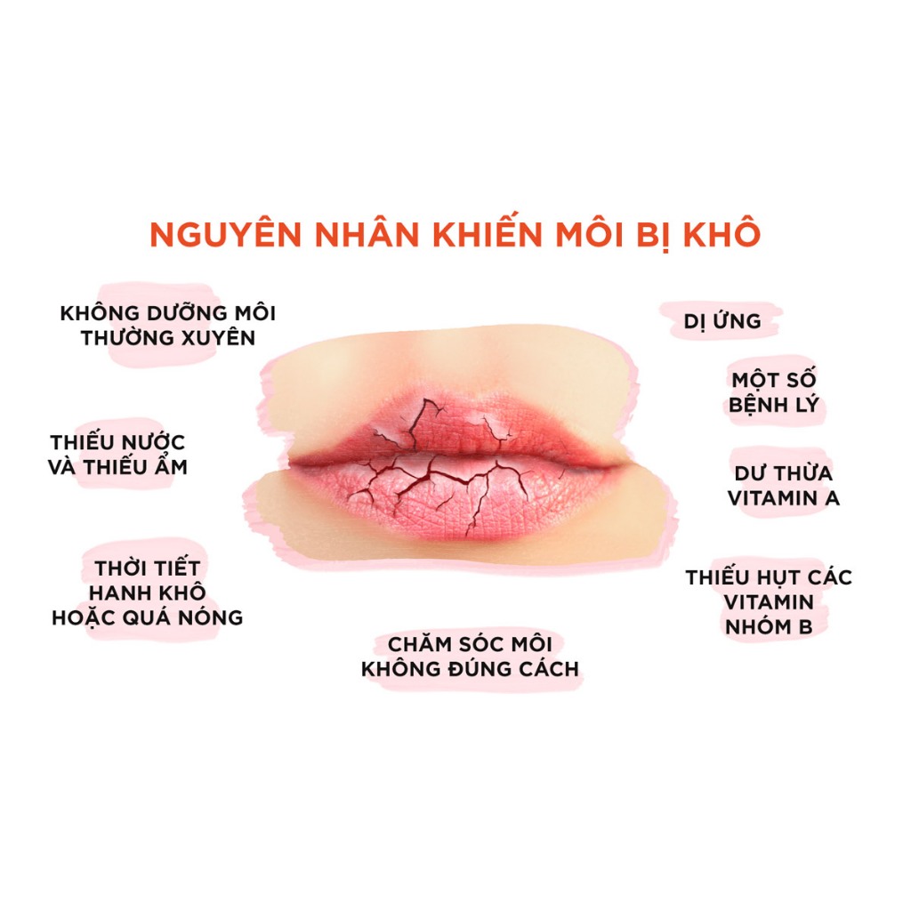 [Mã giảm 25K đơn 99K]Son Dưỡng Môi DHC Nhật Bản Không Màu Cấp Ẩm, Làm Mềm Môi Lip Cream, Hỗ Trợ Giảm Thâm Môi 1.5g