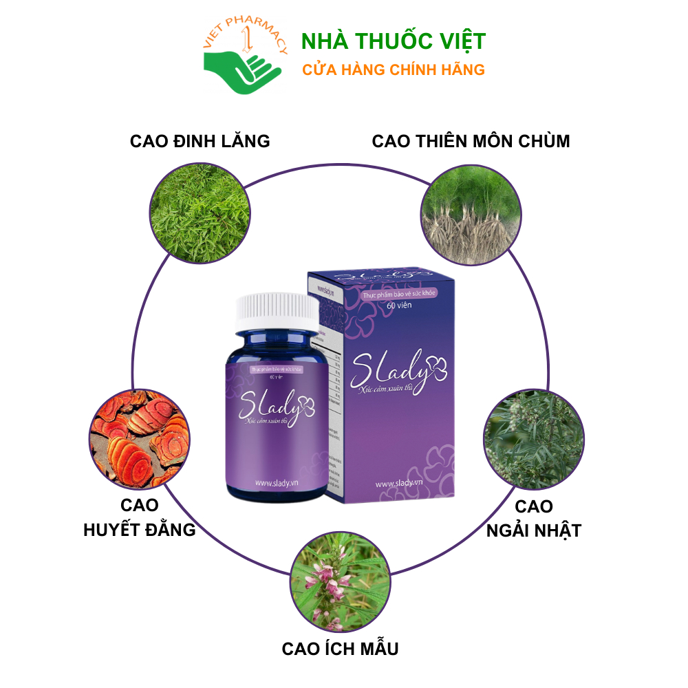 Viên Uống Nội Tiết Tố Nữ Slady Cải Thiện Nội Tiết Sinh Lý Giảm Khô Hạn Bốc Hỏa Mất Ngủ Nám Tàn Nhang Nhà Thuốc Việt