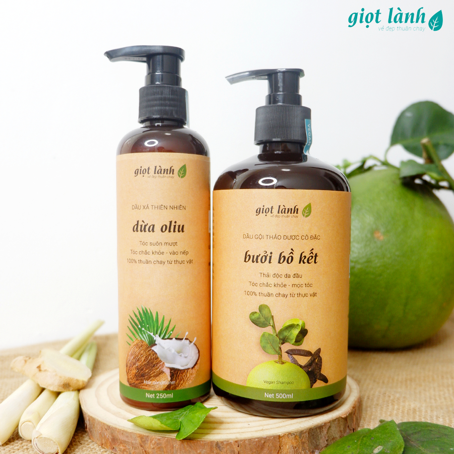Cặp gội xả, dầu gội đầu bồ kết đun cô – Dầu xả thiên nhiên dừa oliu giúp kích thích mọc tóc, giảm rụng Giọt Lành