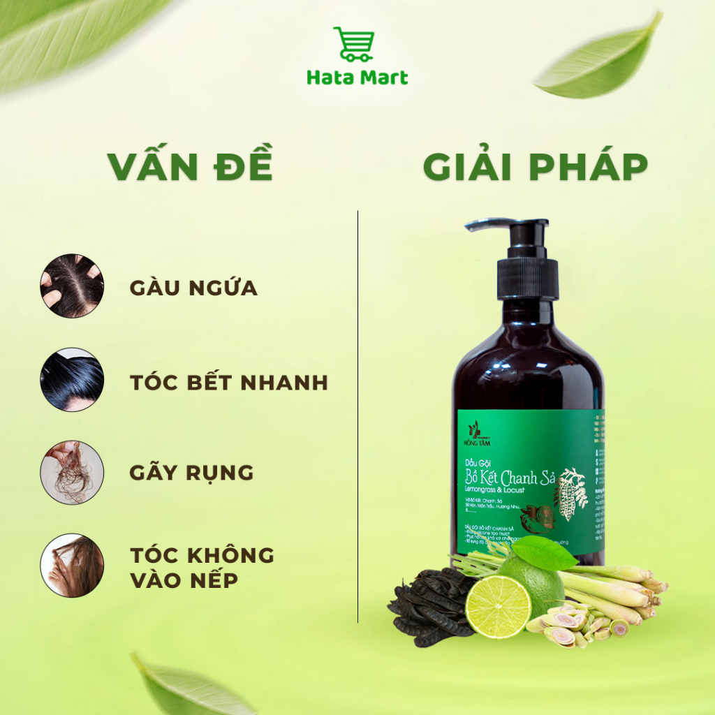 Dầu gội bồ kết chanh sả HATA 500ml, dầu gội đầu giảm gãy rụng tóc, giảm gàu, kích thích mọc tóc