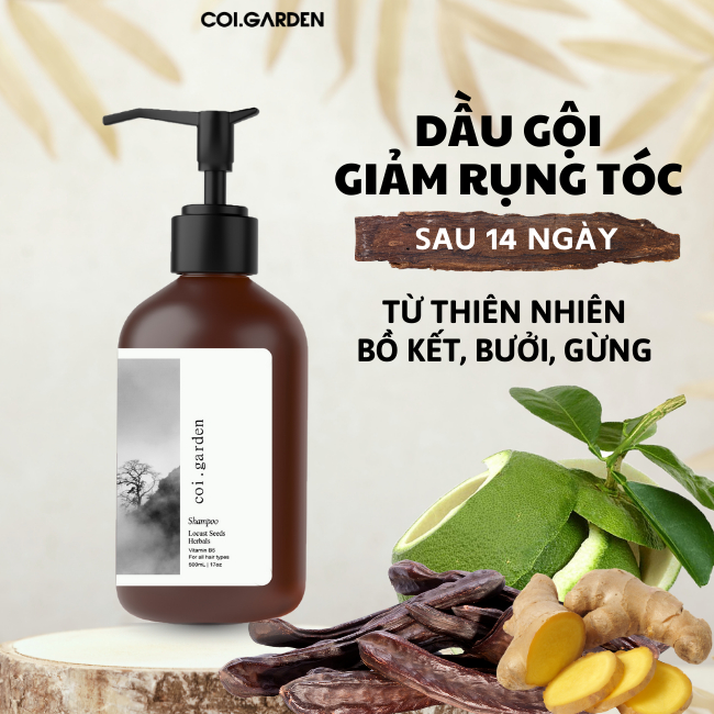 Dầu gội bồ kết gừng bưởi Coigarden 500ml giảm rụng mọc tóc – dầu gội bưởi gừng bồ kết không silicon sunfate