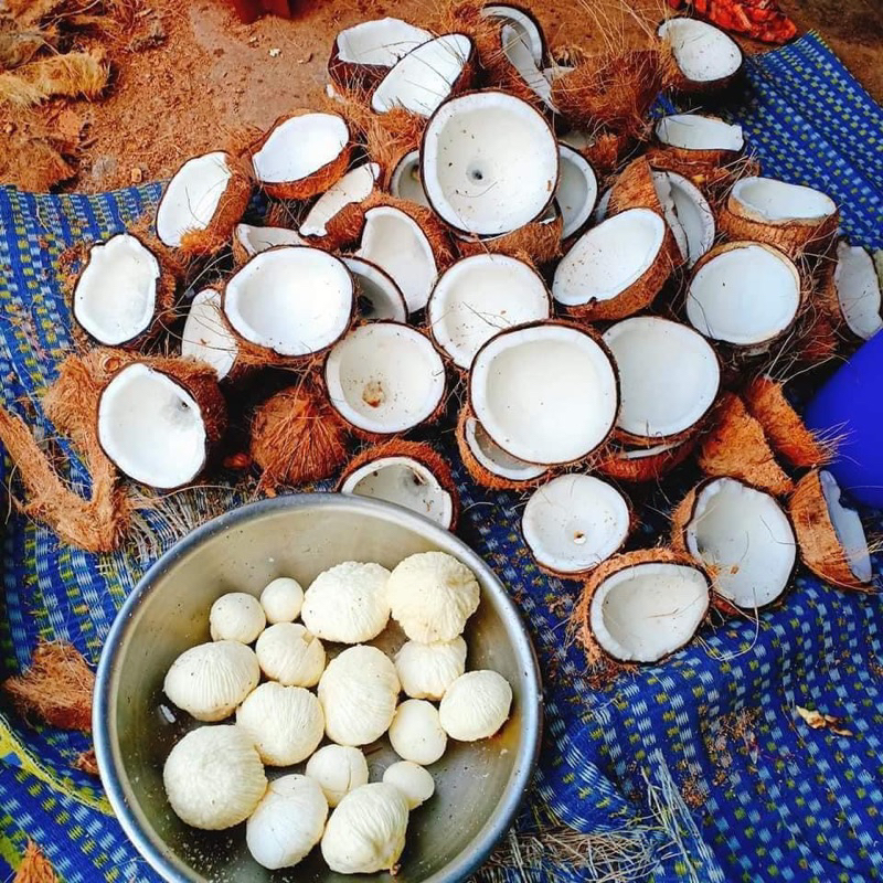 (Chai 1000ML)DẦU Ủ/ XẢ TÓC BƯỞI DỪA NHA ĐAM-BỒ KẾT TƠ TẰM(giúp tóc mềm mượt,phục hồi hư tổn)