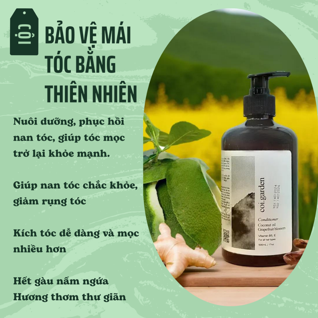 Dầu gội gừng trắc bá diệp mọc tóc giảm rụng tóc nuôi dưỡng nan tóc VƯỜN NHÀ CỘI 500ml