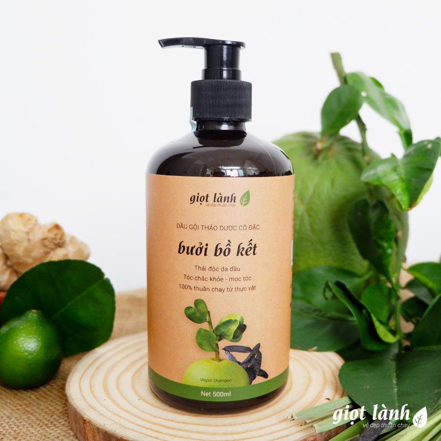 Dầu gội bồ kết – bưởi cô đặc, dầu gội thảo dược kích thích mọc tóc Giọt Lành 500ml