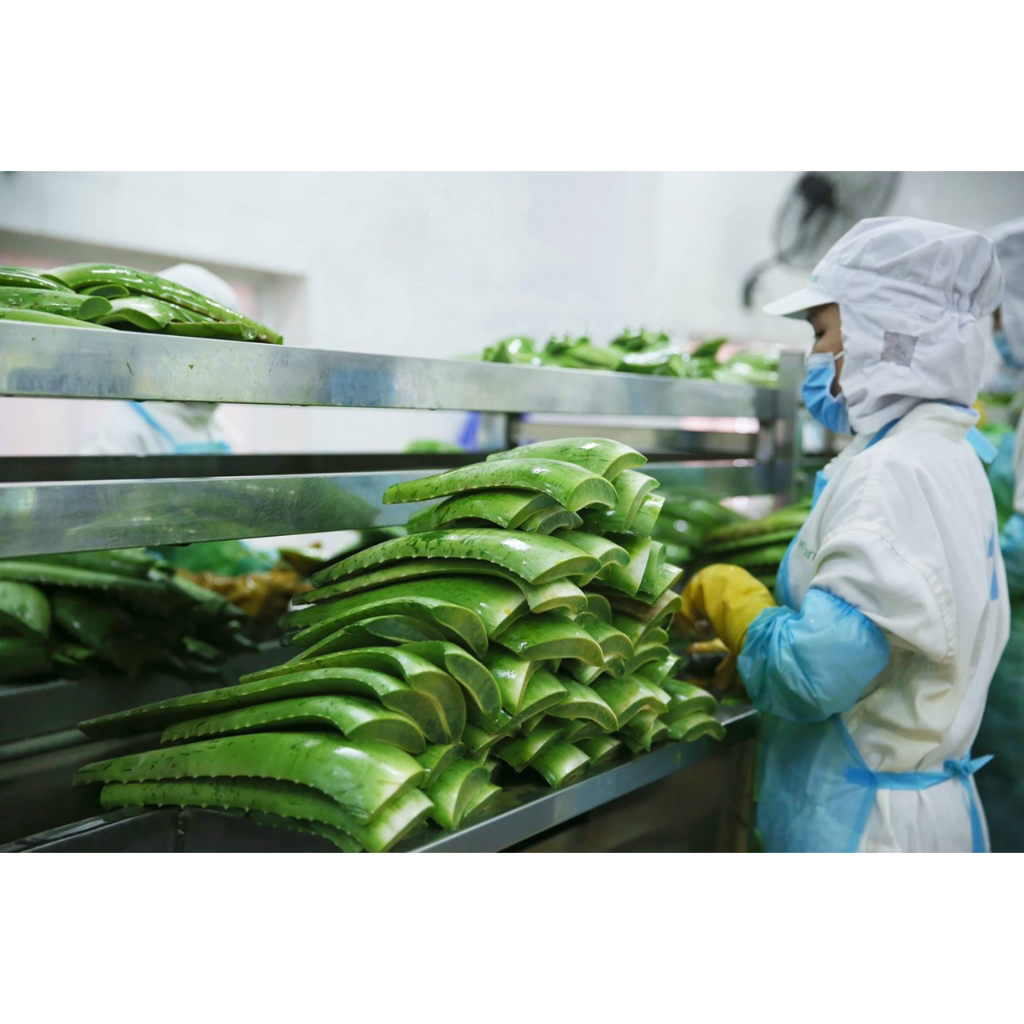 Dầu gội Bưởi, Bồ kết, Nha đam cô đặc, thanh lọc độc tố, kích thích mọc tóc HiKit 500ml