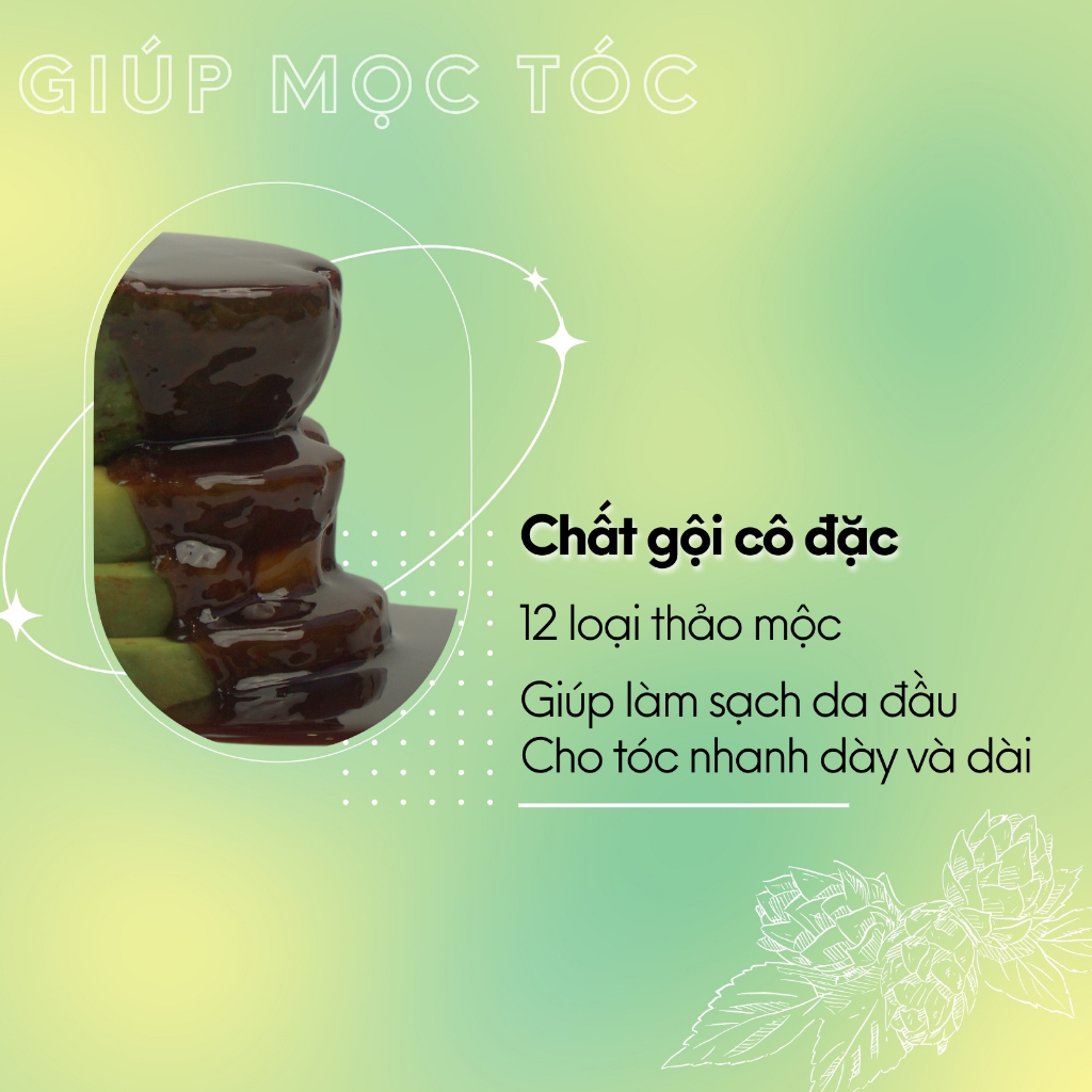 Bộ Dầu Gội Gừng Tươi Thảo Dược The Fleura Cho Tóc Dầu, Giảm Gãy Rụng Tóc, Hỗ Trợ Mọc Tóc Tốt Hơn, Mượt Tóc, Ngăn Gàu