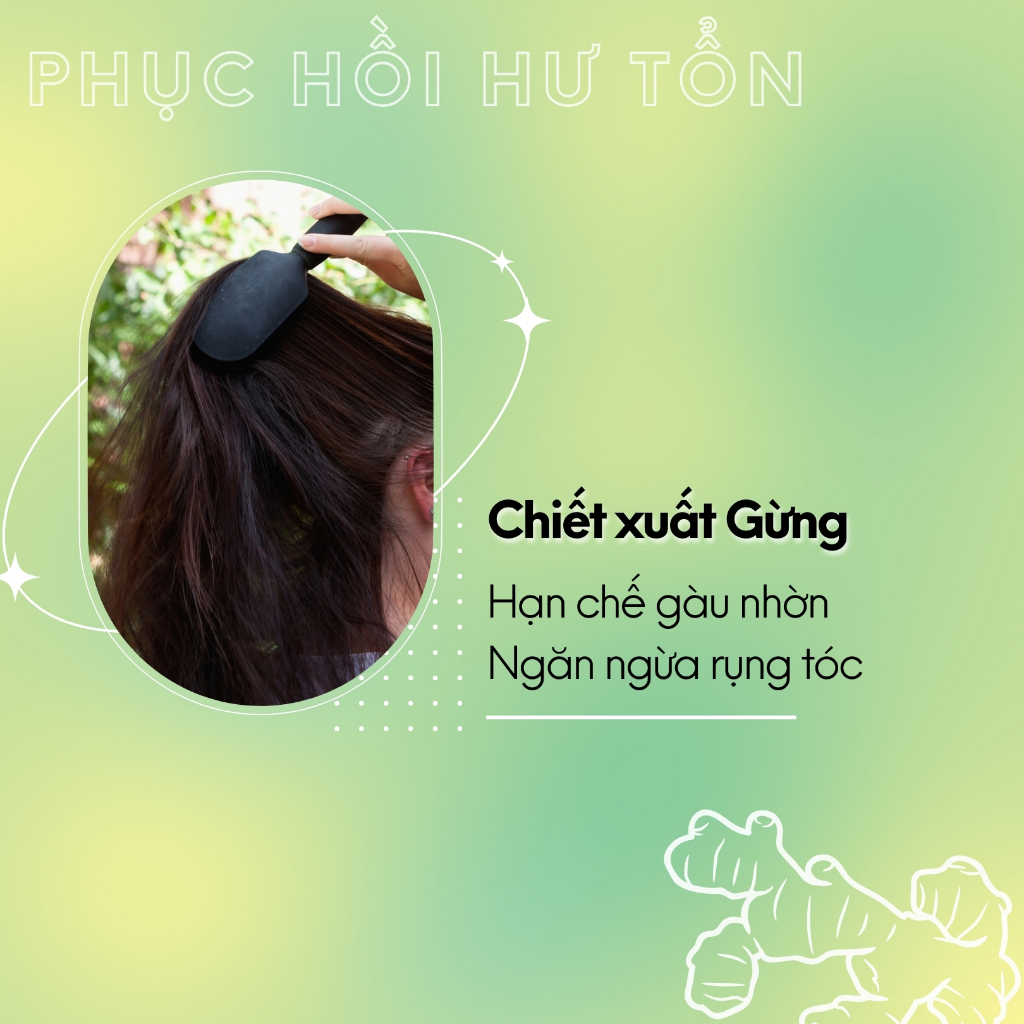 Bộ Dầu Gội Gừng Tươi Thảo Dược The Fleura Cho Tóc Dầu, Giảm Gãy Rụng Tóc, Hỗ Trợ Mọc Tóc Tốt Hơn, Mượt Tóc, Ngăn Gàu
