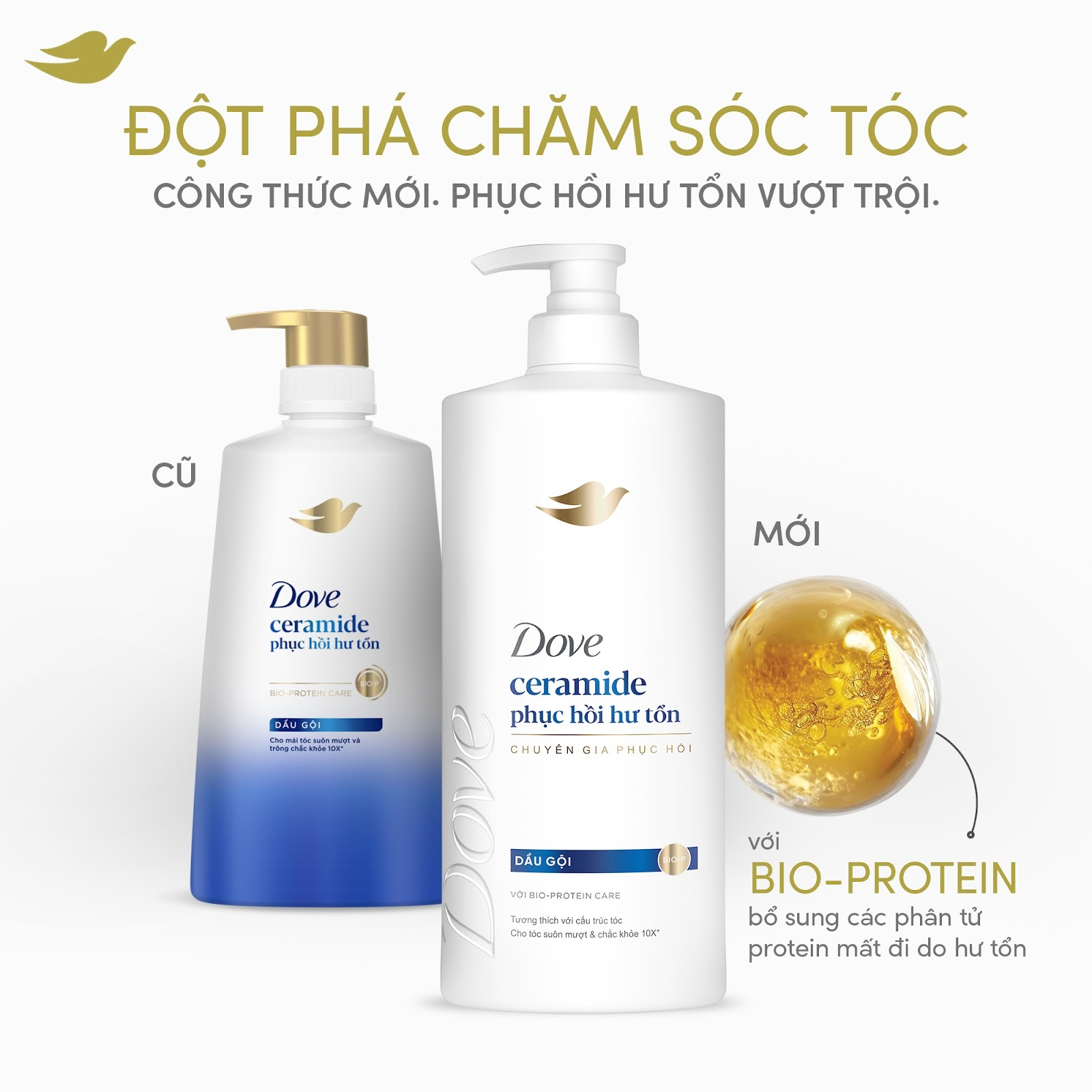 Dầu gội Dove Ceramide Phục hồi hư tổn/ Biotin Ngăn gãy rụng tóc 640G/600G
