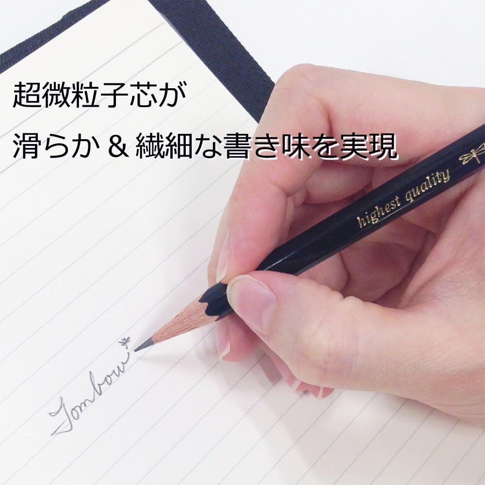 TOMBOW MONO 100 But Chi Graphite Cao Cap/Cedar/17 Do Cung tu 9H Den 6B/Hop 12 Cay/Ve Ky Thuat