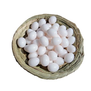 Trứng Giả Trứng Giả Cho Bồ Câu Nhựa Trứng Chắc Chắn Mô Phỏng Trứng Chim Bồ Câu Giả Trứng Aviculture Dụng Cụ Tổ Trứng ấp trứng 1PC