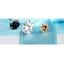 ♥Bông Tai Bạc Đính Đá Zircon Nhiều Màu Thời Trang Cho Nữ