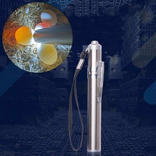 Đèn pin ấp trứng gia cầm mini đèn pin ấp trứng đèn led thiết bị siêu lạnh thép không gỉ (không có pin)