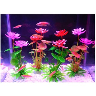Cỏ Nhựa Nhân Tạo 10 Loại Trang Trí Bể Cá