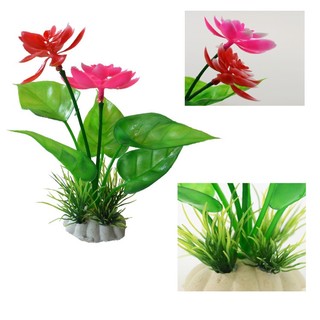 Cỏ Nhựa Nhân Tạo 10 Loại Trang Trí Bể Cá