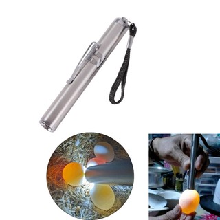 Đèn pin ấp trứng gia cầm mini đèn pin ấp trứng đèn led thiết bị siêu lạnh thép không gỉ (không có pin)