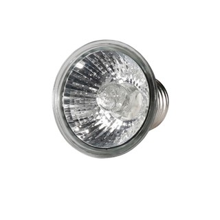 Đèn sưởi thú cưng 25/50/75W, bổ sung canxi, chống nắng, UV cho rùa, lưỡng cư, thằn lằn, bộ điều khiển nhiệt độ