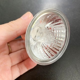 Đèn sưởi thú cưng 25/50/75W, bổ sung canxi, chống nắng, UV cho rùa, lưỡng cư, thằn lằn, bộ điều khiển nhiệt độ