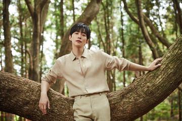 thao.phuong0120