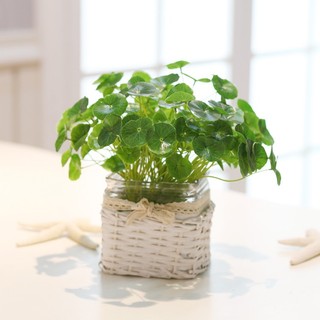 Chậu Cây Giả Lá Sen Cỡ Nhỏ Trang Trí