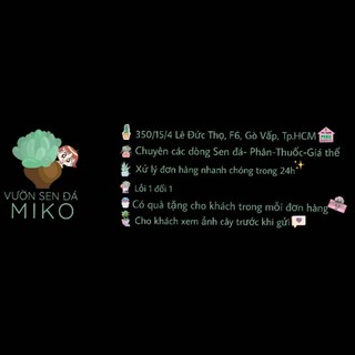 Combo Sen Đá vỉ mini siêu xinh, Sen Đá mix nhiều loại khác nhau Mầm Nắng Garden  LỖI 1 ĐỀN 1
