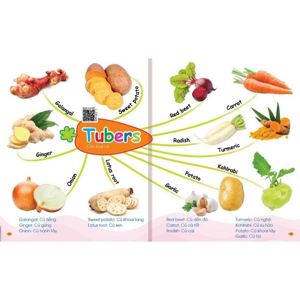 Sách - Chinh Phục Từ Vựng Tiếng Anh - Theo Sơ Đồ Tư Duy Mind Map (Quét QR để nghe)