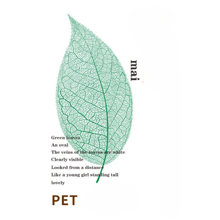 Sticker vintage hoa lá mùa thu chất liệu PVC 30 miếng dán HD170-K69 DIY Crafts, Scrapbook, Journal, Diary, Planner.