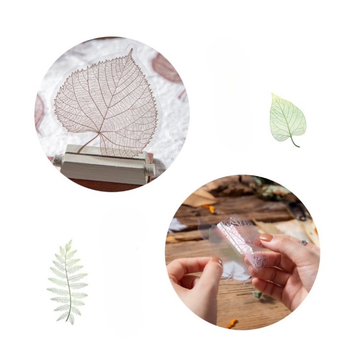 Sticker vintage hoa lá mùa thu chất liệu PVC 30 miếng dán HD170-K69 DIY Crafts, Scrapbook, Journal, Diary, Planner.