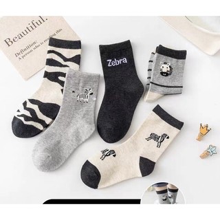 [V04 set 5 đôi] Tất bé trai thu đông dày dặn,vớ cho bé trai cotton mềm mại Maruka Fashion