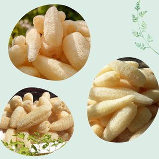 COMBO 5 Bông Tắm Xơ Mướp Tự Nhiên Nguyên Quả (Mộc Xơ) , Tẩy Da Chết, Xơ Mướp Tắm, Massage Body, Bông Tắm Tạo Bọt