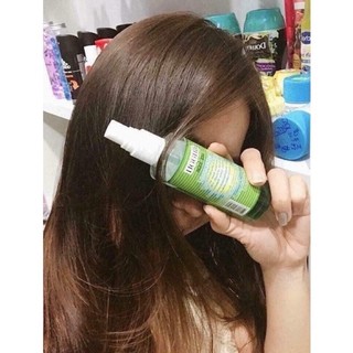 [ HÀNG THÁI BAO CHECK] XỊT MỌC TÓC BƯỞI CHANH THÁI LAN [CÓ SẴN][XỊT LÀ MỌC]