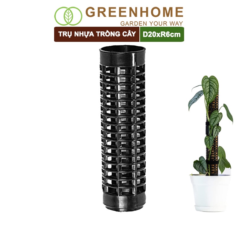 Trụ nhựa trồng cây, D20xR6cm, nhựa cứng, có khớp dễ nối dài, chuyên hệ cây leo, trầu bà, kiểng lá |Greenhome