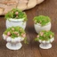 Phụ kiện nội thất nhà búp bê 1: 12 Chậu hoa cây xanh
