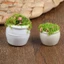 Phụ kiện nội thất nhà búp bê 1: 12 Chậu hoa cây xanh