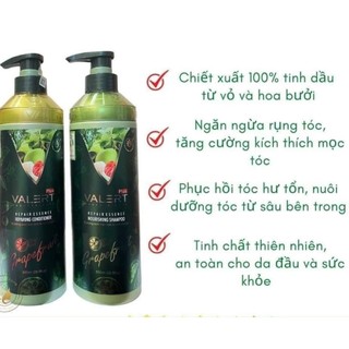 Dầu Gội Bưởi GRAPEFRUIT PLUS 850ml Chống Rụng Tóc, Phục Hồi Tóc Hư Tổn