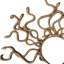 Yoo Medusa Rắn Trang Phục Băng Đô Medusa Mũ Đội Đầu Trang Phục Mũ Đội Đầu Cho Lễ Hội Mardi Gras Hóa Trang Đảng