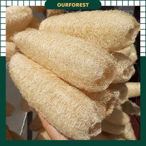 COMBO 5 Bông Tắm Xơ Mướp Tự Nhiên Nguyên Quả (Mộc Xơ) , Tẩy Da Chết, Xơ Mướp Tắm, Massage Body, Bông Tắm Tạo Bọt