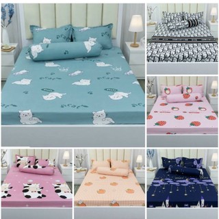 Ga gối cotton poly, ga kèm gối cotton bo chun bọc đệm size 1m6 và 1m8 nhiều mẫu tặng kèm 1 vỏ ôm cùng mầu hàng xưởng