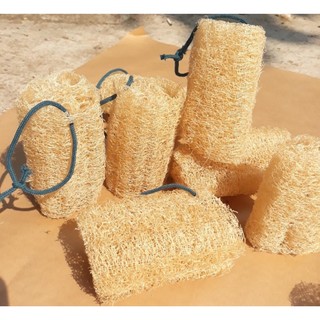 Bông Tắm Xơ Mướp, Xơ Mướp Tẩy Tế Bào Chết, Miếng Rửa Chén Cắt Khúc 12cm, Massage Da, 100% Hàng Hữu Cơ Xuất Khẩu