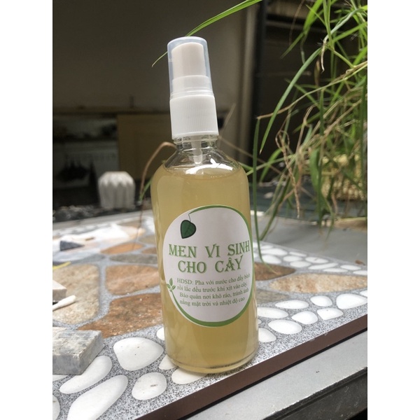 Chai xịt diệt nấm mốc trắng cho cây, rêu, lũa...dùng trong terarium,bán cạn