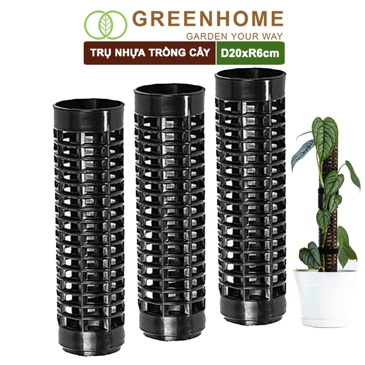 Bộ 3 Trụ nhựa trồng cây, D20xR6cm, nhựa cứng, có khớp dễ nối dài, chuyên hệ cây leo, trầu bà, kiểng lá |Greenhome