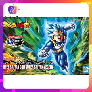 Vegeta SSJG Super Saiyan God from Dragon Ball Anime Wallpaper ID:4991