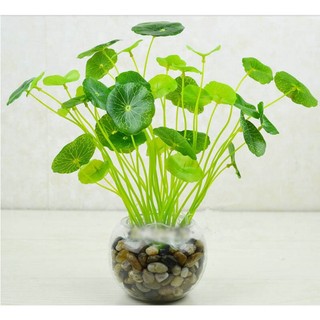 Chậu Cây Giả Lá Sen Cỡ Nhỏ Trang Trí