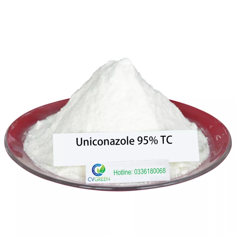 Uniconazole 95% nguyên chất (Ức chế sinh trưởng, kích thích ra hoa trái ...