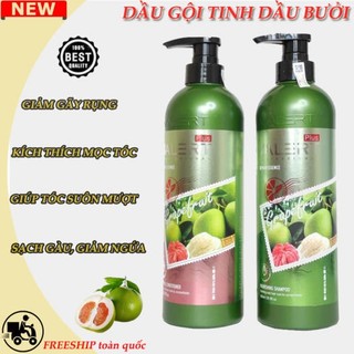 Dầu Gội Bưởi GRAPEFRUIT PLUS 850ml Chống Rụng Tóc, Phục Hồi Tóc Hư Tổn