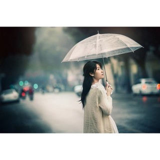 Ô trong suốt gấp gọn che mưa thời trang tiện lợi🍀FREESHIP🍀Dù trong suốt cao cấp chắn chắn độ bền cao